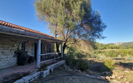 Propriété à renovée près de Porto Pollo