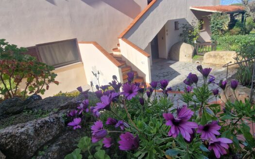 Porto Faro, la randa 5