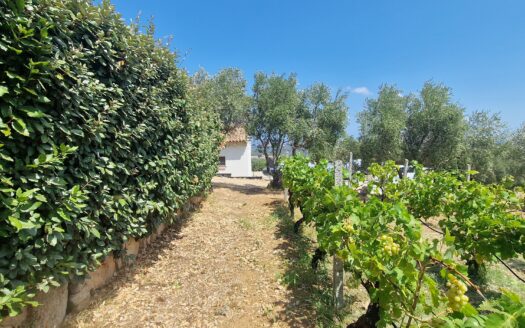 Casa Panoramica nell’agro di Palau